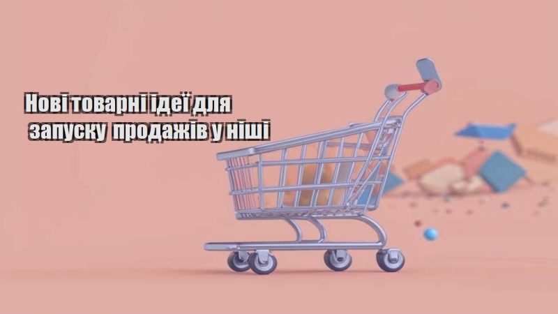 novi tovarni ideyi dlya zapusku prodazhiv u nishi